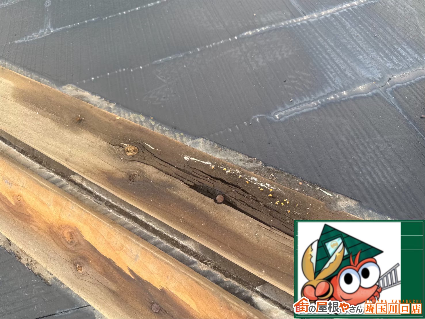 貫板　ボロボロ